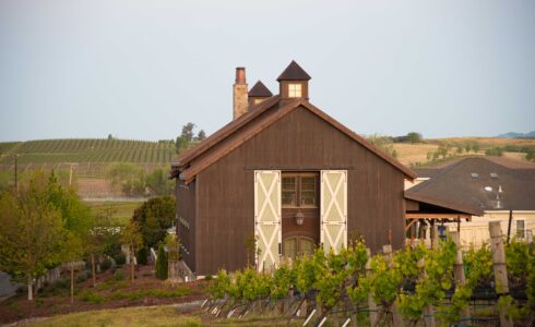 Exterior of the barn nestled between rows of grape vines