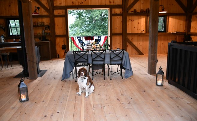 Cute dog photo inside a post and beam barn.