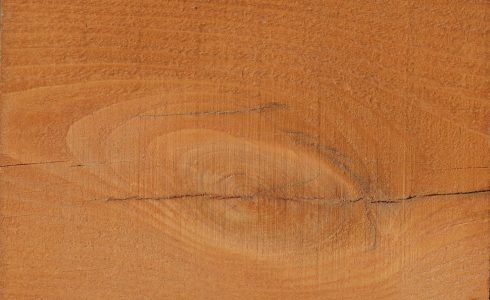 Hemlock timber stained golden cedar