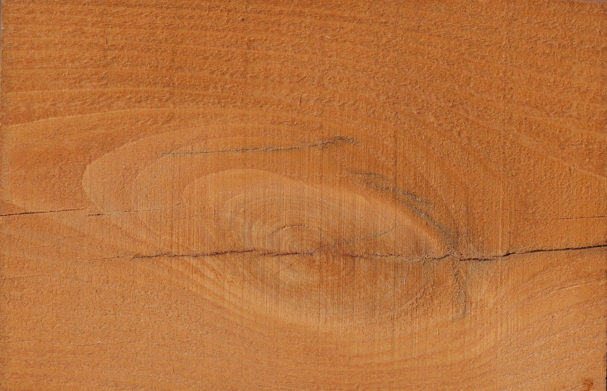 Hemlock timber stained golden cedar