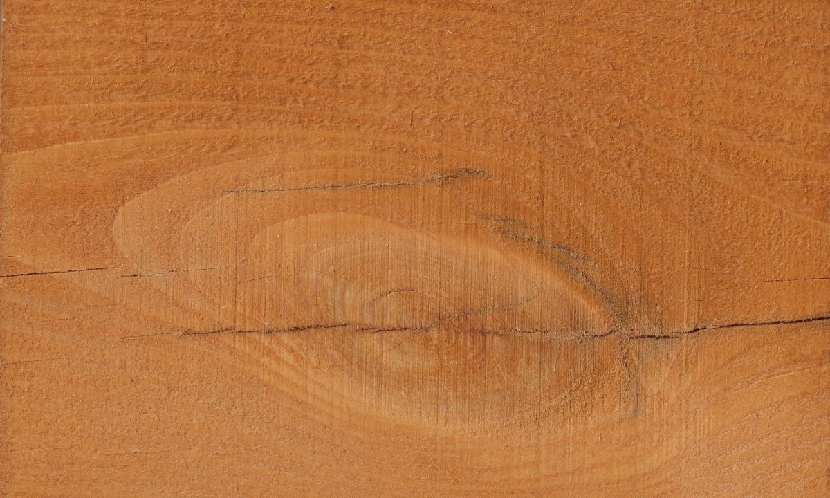 Hemlock