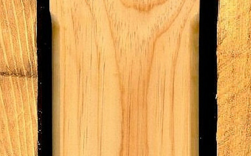 White Pine